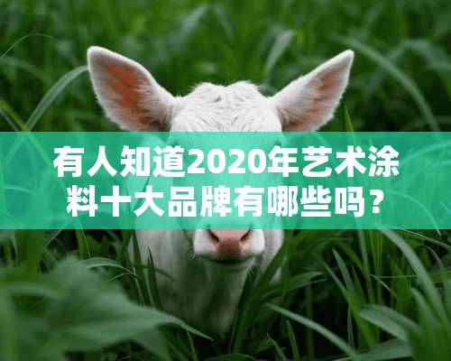 有人知道2020年艺术涂料十大品牌有哪些吗？