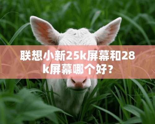 联想小新25k屏幕和28k屏幕哪个好？