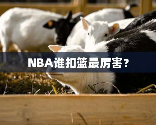 NBA谁扣篮最厉害？