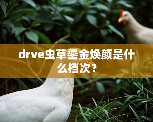 drve虫草鎏金焕颜是什么档次？