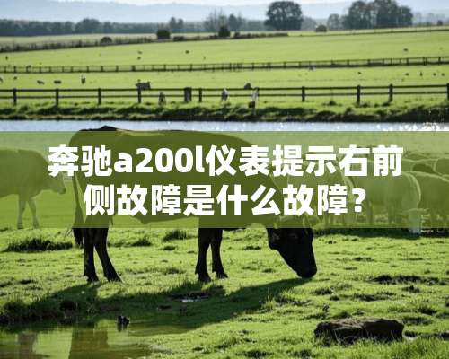 奔驰a200l仪表提示右前侧故障是什么故障？