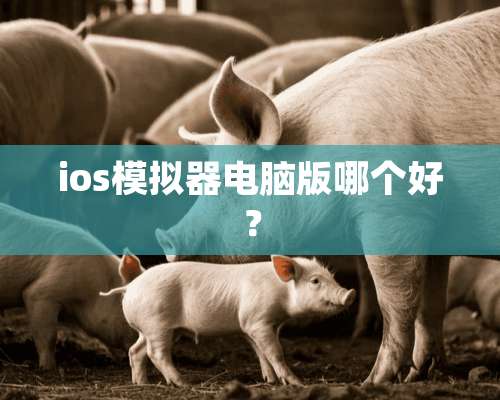 ios模拟器电脑版哪个好？