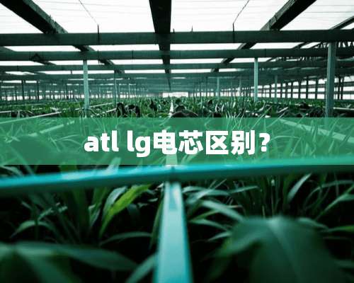 atl lg电芯区别？