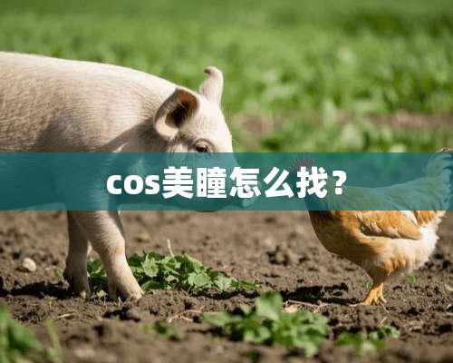 cos美瞳怎么找？