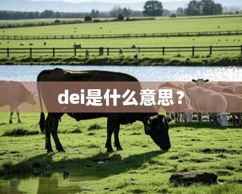 dei是什么意思？