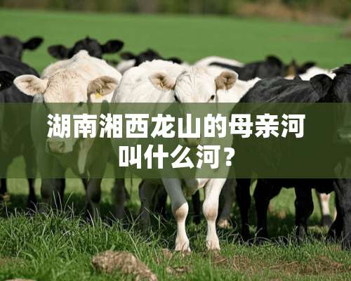 湖南湘西龙山的母亲河叫什么河？