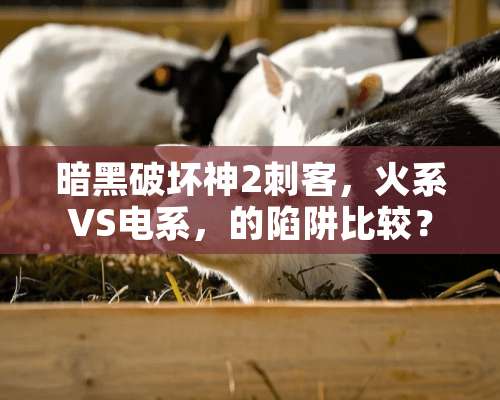 暗黑破坏神2刺客，火系VS电系，的陷阱比较？