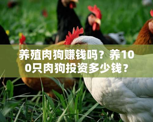 养殖肉狗赚钱吗？养100只肉狗投资多少钱？