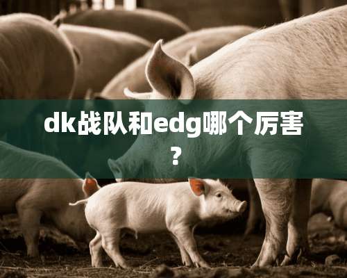 dk战队和edg哪个厉害？