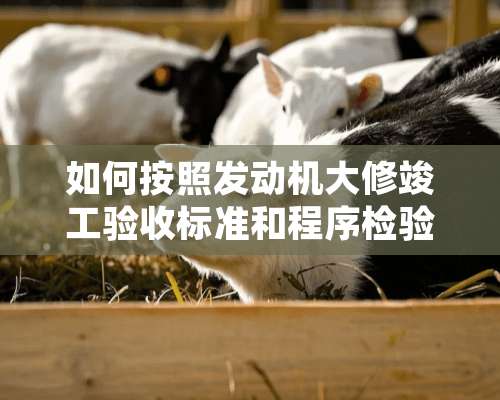 如何按照发动机大修竣工验收标准和程序检验发动机技术状况