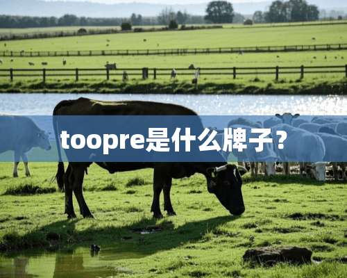 toopre是什么牌子？