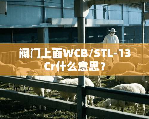 阀门上面WCB/STL-13Cr什么意思？