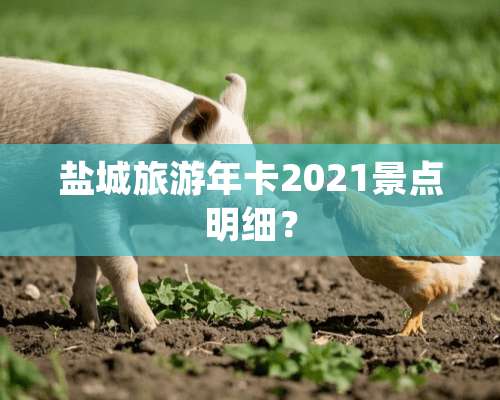 盐城旅游年卡2021景点明细？