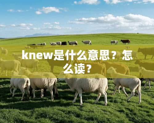 knew是什么意思？怎么读？