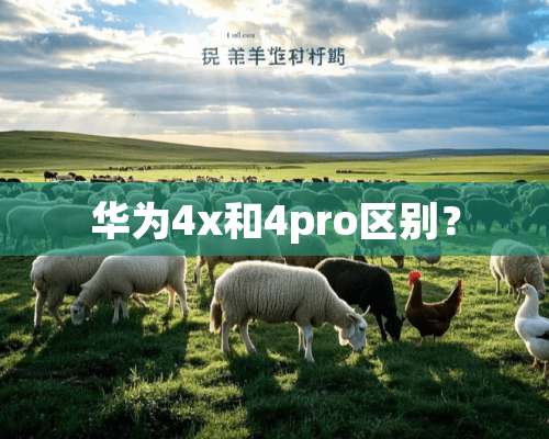 华为4x和4pro区别？