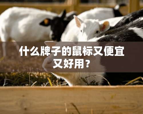 什么牌子的鼠标又便宜又好用？