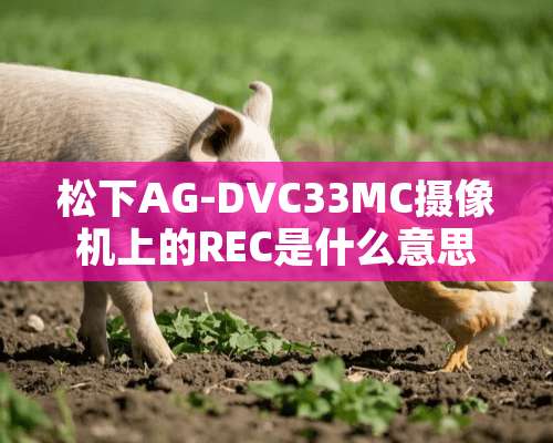 松下AG-DVC33MC**机上的REC是什么意思？