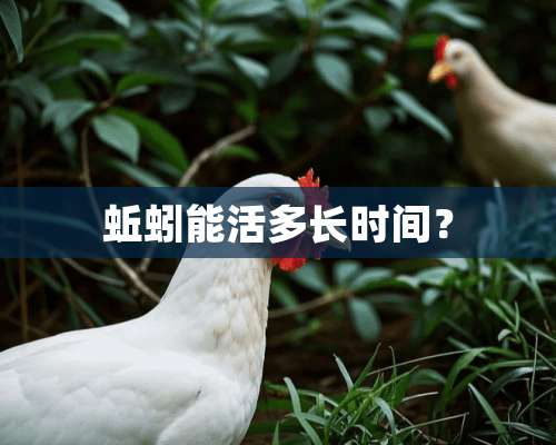 蚯蚓能活多长时间？