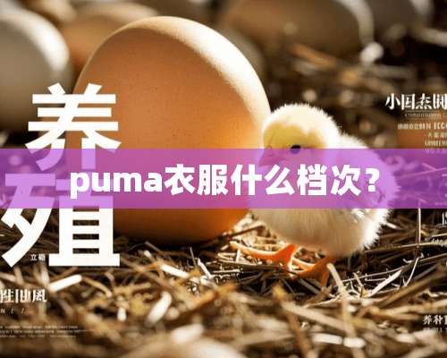 puma衣服什么档次？