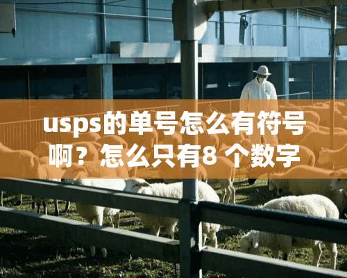 usps的单号怎么有符号啊？怎么只有8 个数字