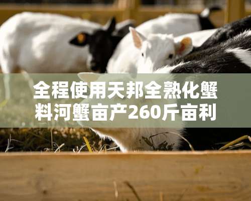 全程使用天邦全熟化蟹料河蟹亩产260斤亩利润达6290元