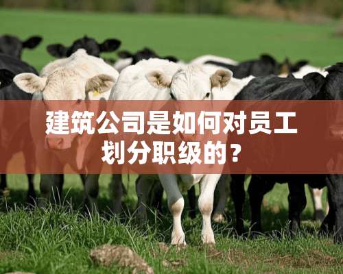 建筑公司是如何对员工划分职级的？