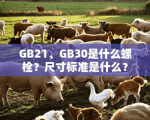 GB21、GB30是什么螺栓？尺寸标准是什么？