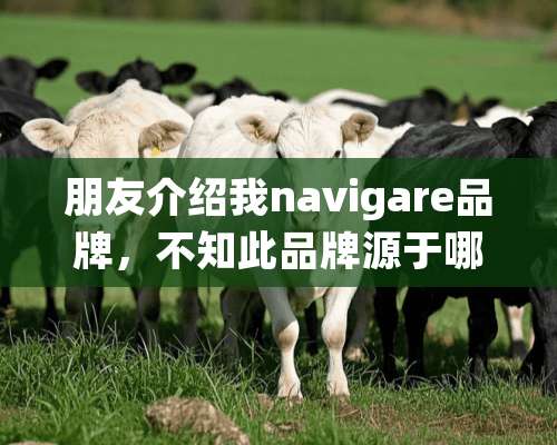 朋友介绍我navigare品牌，不知此品牌源于哪个国家的服装品牌呢？