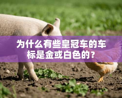 为什么有些皇冠车的车标是金或白色的？