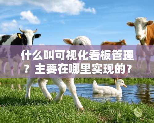 什么叫可视化看板管理？主要在哪里实现的？