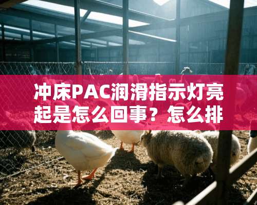 冲床PAC润滑指示灯亮起是怎么回事？怎么排查故障？谢谢！