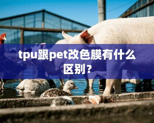 tpu跟pet改色膜有什么区别？