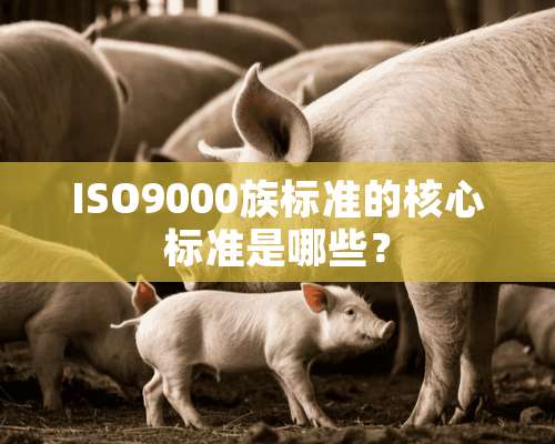 ISO9000族标准的核心标准是哪些？