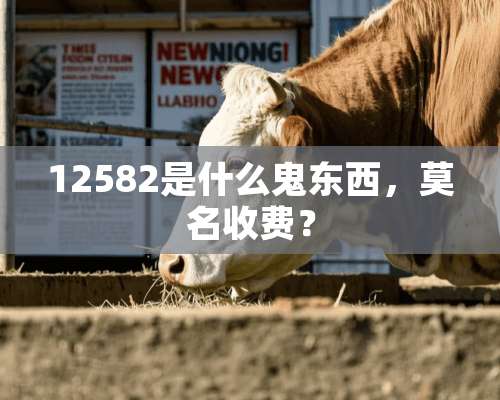 12582是什么鬼东西，莫名收费？