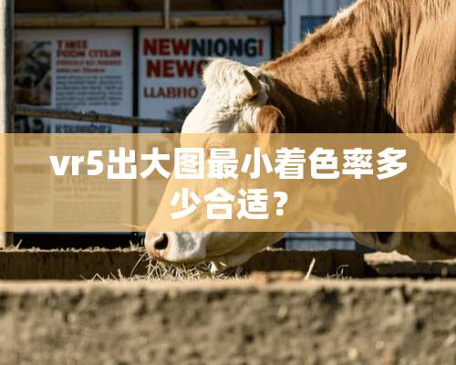 vr5出大图最小着色率多少合适？