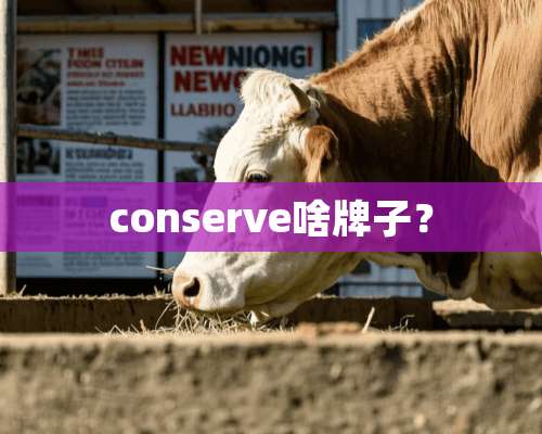 conserve啥牌子？