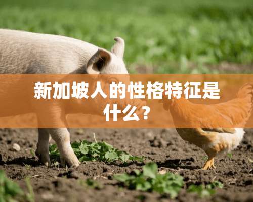 新加坡人的性格特征是什么？