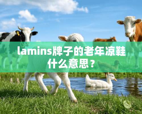 lamins牌子的老年凉鞋什么意思？