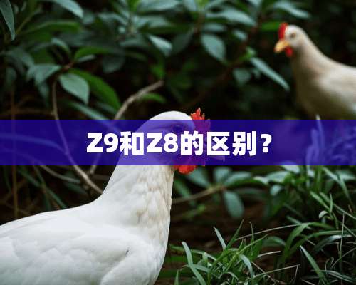 Z9和Z8的区别？