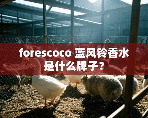 forescoco 蓝风铃香水是什么牌子？