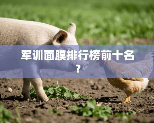 军训面膜排行榜前十名？