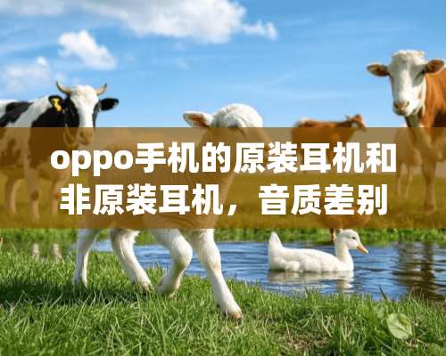 oppo手机的原装耳机和非原装耳机，音质差别大吗？