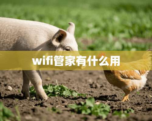 wifi管家有什么用