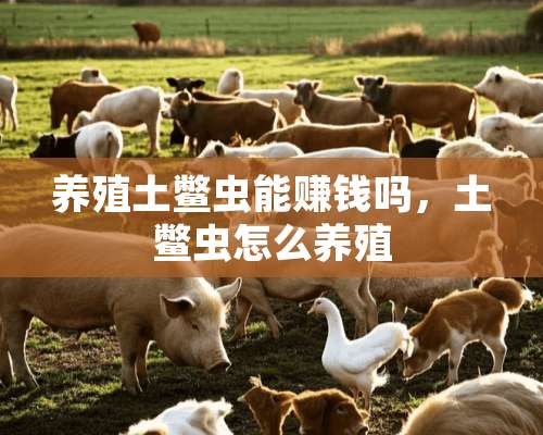 养殖土鳖虫能赚钱吗，土鳖虫怎么养殖