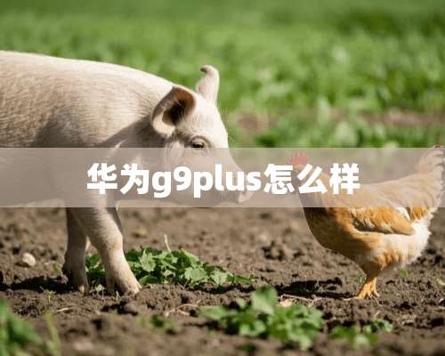 华为g9plus怎么样