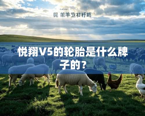 悦翔V5的轮胎是什么牌子的？