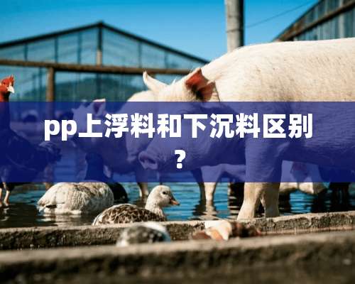 pp上浮料和下沉料区别？