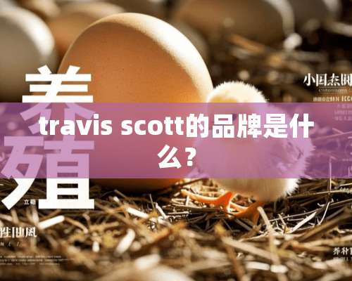 travis scott的品牌是什么？