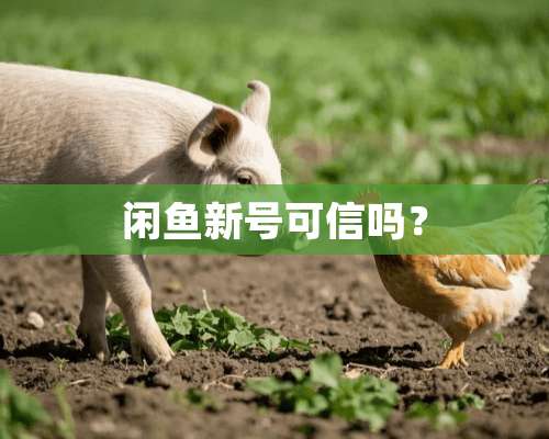 闲鱼新号可信吗？