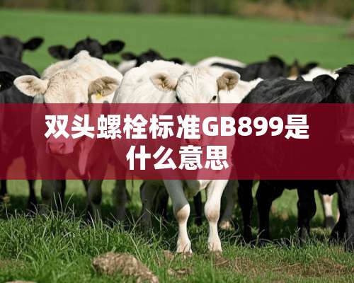 双头螺栓标准GB899是什么意思